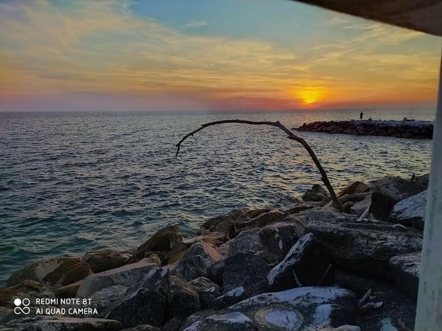 Casa Vacanze Marina Di Pisa Catola 외부 사진