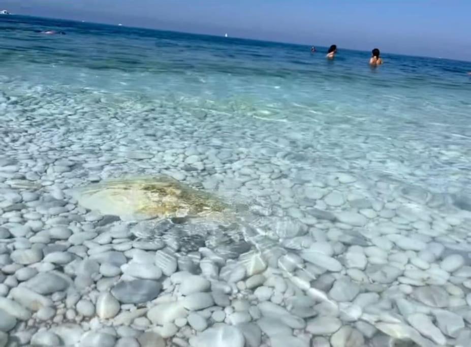 Casa Vacanze Marina Di Pisa Catola 외부 사진